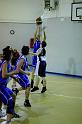 Basket 252017